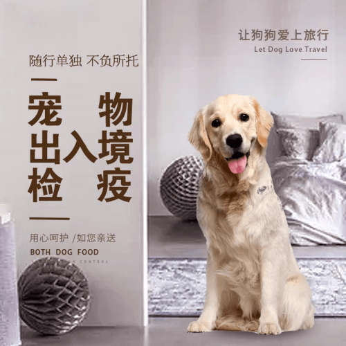 莱芜市宠物托运到哥伦比亚猫狗宠物入境规定和
