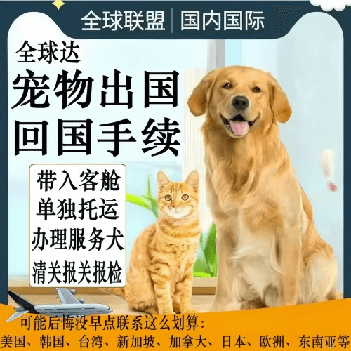 莱芜市宠物托运到柬埔寨宠物入境规定和要求