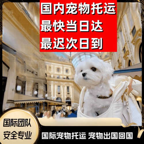 莱芜市到澳大利亚（澳洲）宠物入境规定和要求