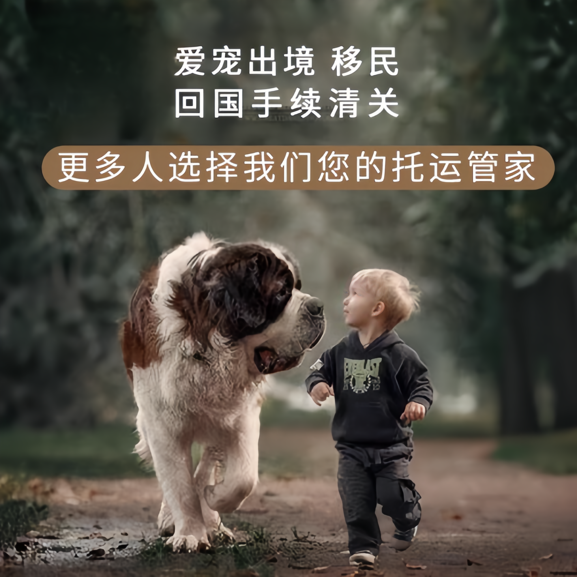 满财莱芜市宠物全球达宠物托运在遵守入境目的地政策的条件