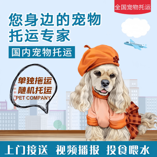 满财莱芜市宠物全球达宠物托运作为专业的宠物运输代理机构
